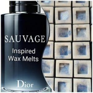 sauvage dior wax melts|Sauvage by Dior Wax Melts .